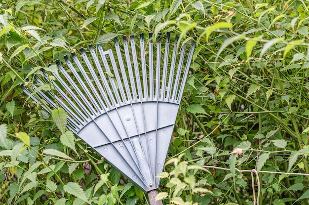 Rake en un jardín