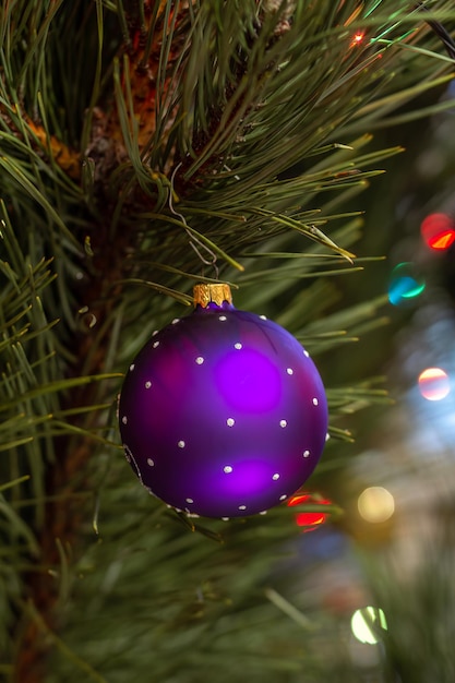 Rama de abeto con bola de Navidad y luces festivas en el fondo