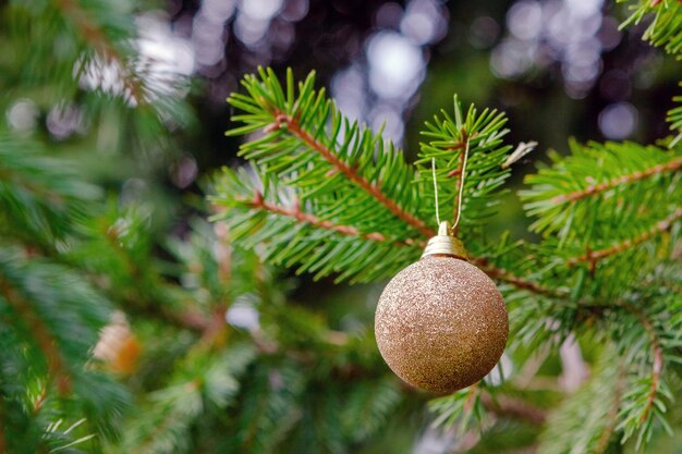 Rama de abeto verde con juguete brillante navideño