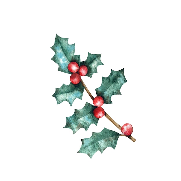 Rama de acebo con hojas y bayas decoración para árbol de Navidad elemento de acuarela aislado en blanco b
