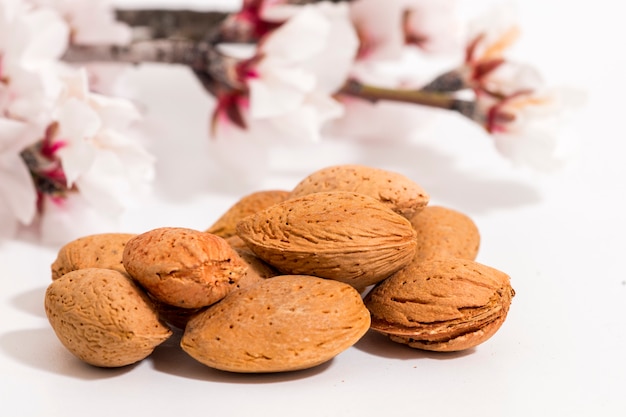 Foto rama de almendro y almendras