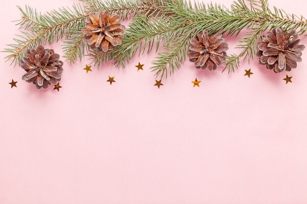 Una rama de árbol con conos sobre un fondo rosa, celebraciones de Navidad y Año Nuevo