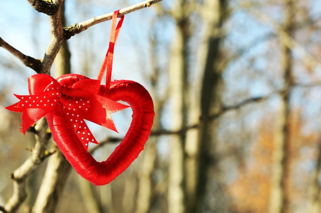 Rama de árbol con decoración de corazón en el fondo de la naturaleza