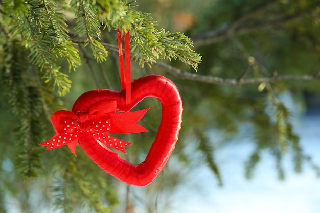 Rama de árbol con decoración de corazón en el fondo de la naturaleza