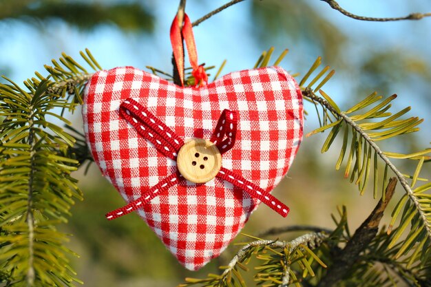 Rama de árbol con decoración de corazón en el fondo de la naturaleza