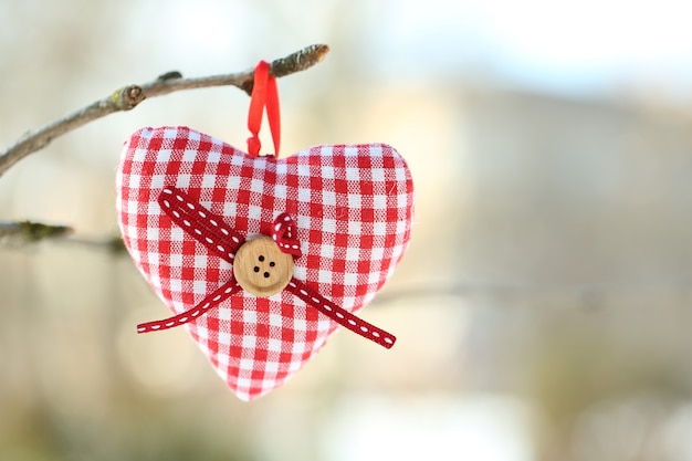 Rama de árbol con decoración de corazón en vegetación borrosa