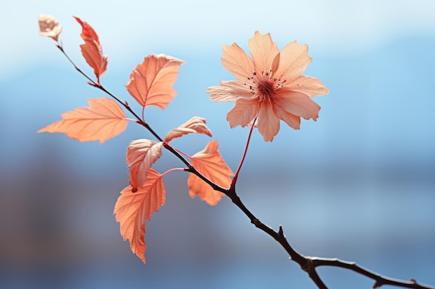 una rama de un árbol con una flor