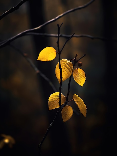Una rama de un árbol con hojas amarillas en la oscuridad.