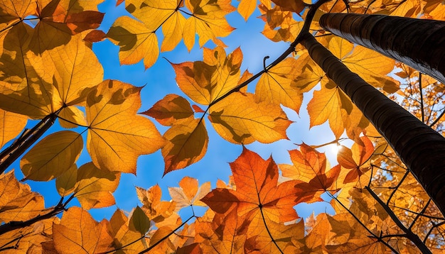 una rama de árbol con las hojas que tienen la palabra otoño en ella