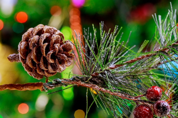 Rama de un árbol de Navidad con piñas y frutos rojos