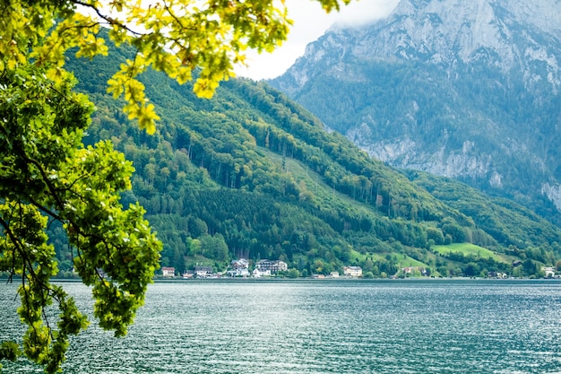 Rama de árbol verde en la vista del lago Traunsee ancho Gmunden y altas montañas