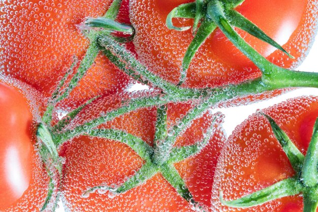 Rama con burbujas de tomates rojos envueltos medio caídos en agua de soda aislado sobre fondo blanco.