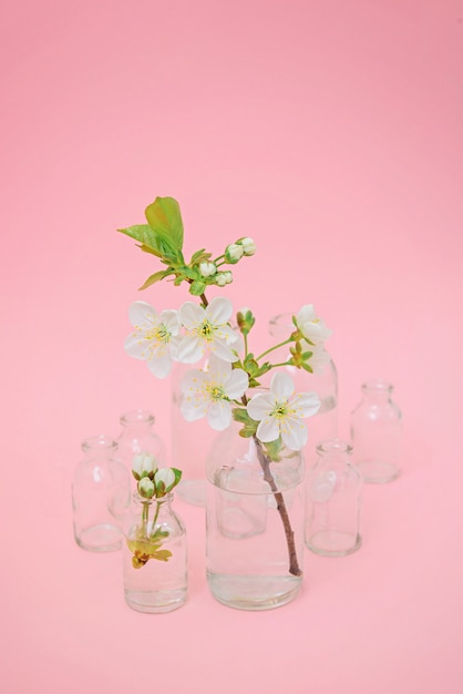 Foto rama con flor blanca en botella de vidrio