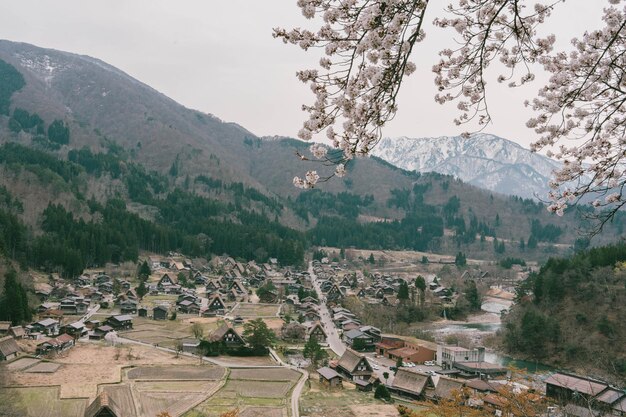 Foto rama de flor de cerezo de sakura con antecedentes de la aldea de shirakawago en la temporada de primavera