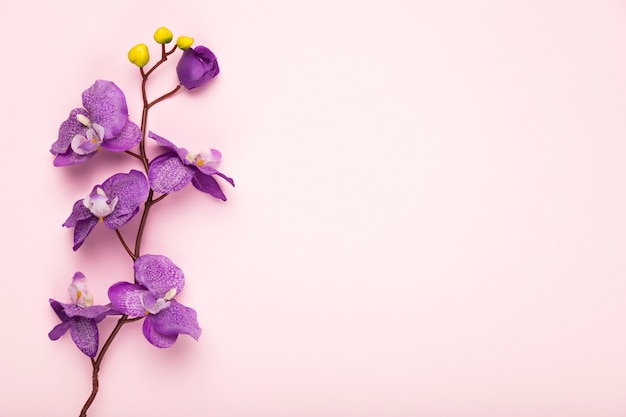 Foto rama de flor floreciente espacio de copia