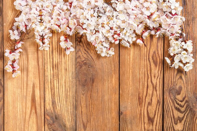 Rama con flores de albaricoque sobre tablero de madera, para el diseño y su texto