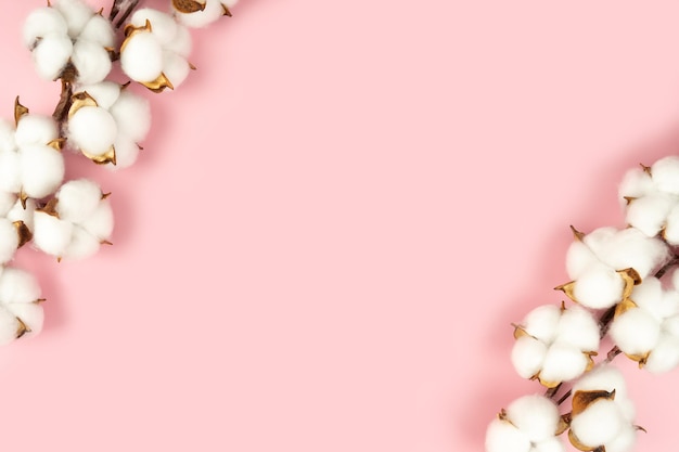 Rama de flores de algodón sobre fondo rosa espacio de copia plana