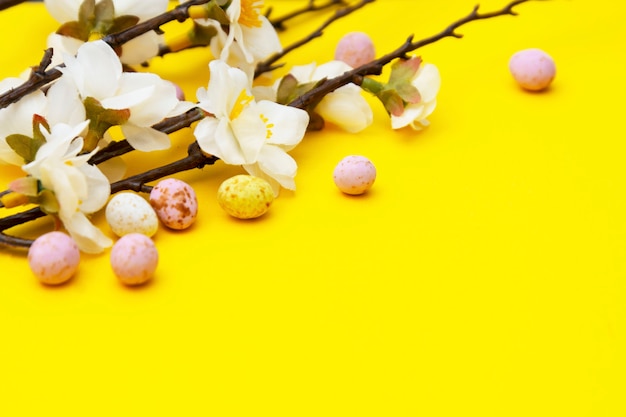 Rama de flores blancas sobre fondo amarillo con dulces, huevos de pascua de chocolate. Pascua simulacro. Fondo minimalista de primavera.