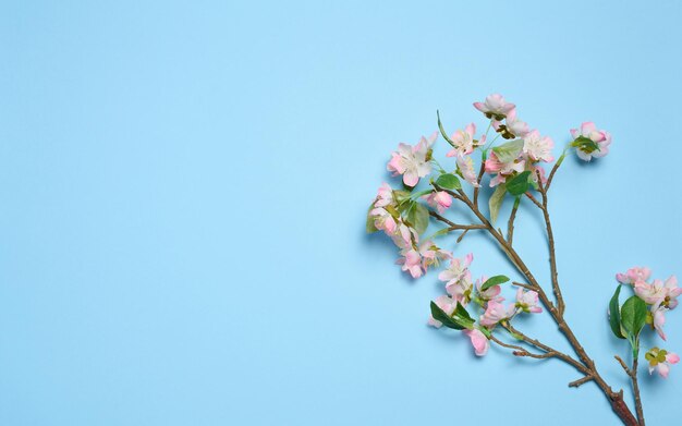 Una rama con flores de cerezo textiles sobre un fondo azul vista superior decoración del hogar