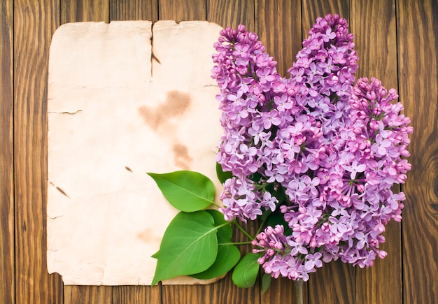 Rama de flores lilas con papel viejo