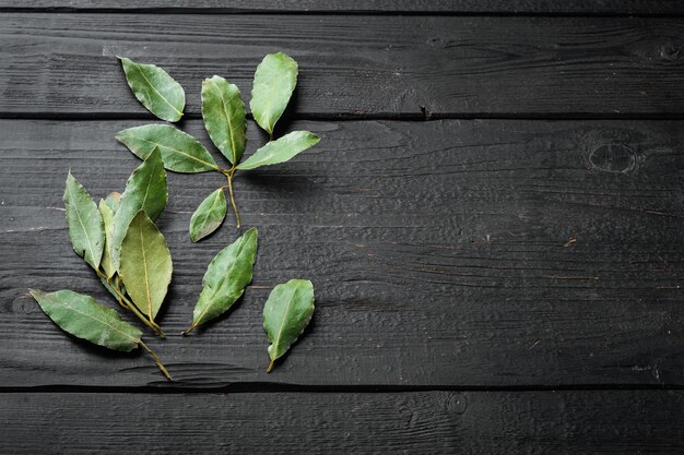 Rama de hojas de laurel sobre fondo de mesa de madera negra con espacio para copiar texto