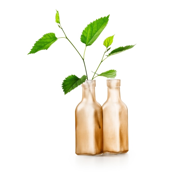 Rama de hojas de primavera verde en florero. Botella marrón con plantas curativas. Diseño floral. Grupo de objetos aislados en el trazado de recorte de fondo blanco incluido