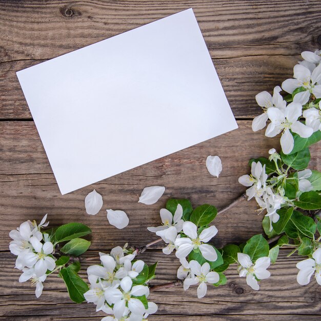 Una rama de un manzano en flor con flores blancas y una hoja de papel sobre un fondo de madera rústica, con un espacio de copia, vista superior