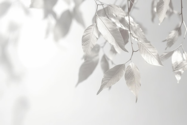 Una rama de plumas blancas con hojas