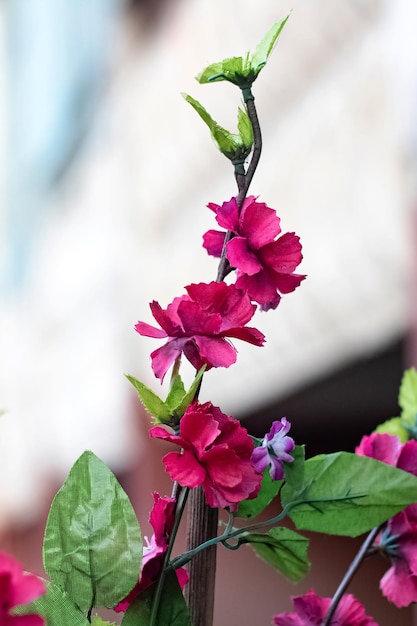 Rama con primer plano de flores de plástico violeta artificial