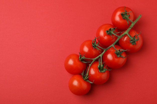 Rama de tomate cherry fresco sobre fondo rojo.