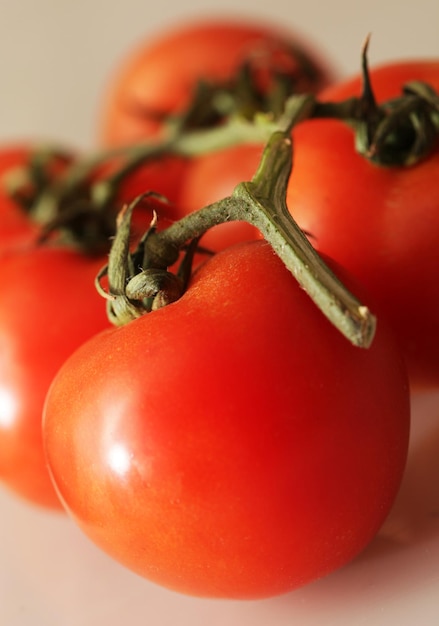 Rama de tomate maduro