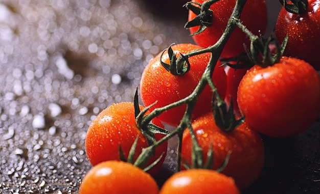 Rama con tomates cherry frescos Tomates rojos maduros