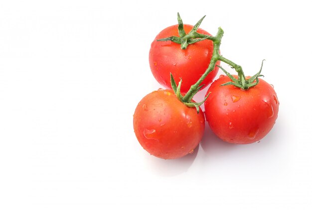 Rama de tomates rojos maduros aislado sobre fondo blanco.