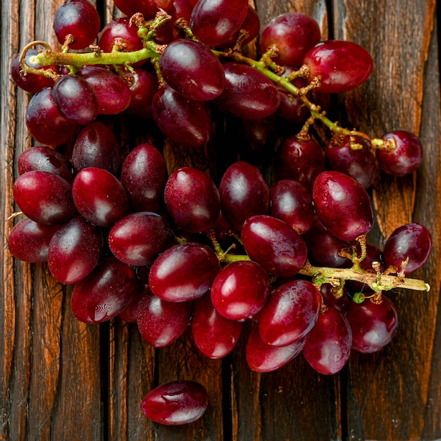 Rama de uvas rojas maduras