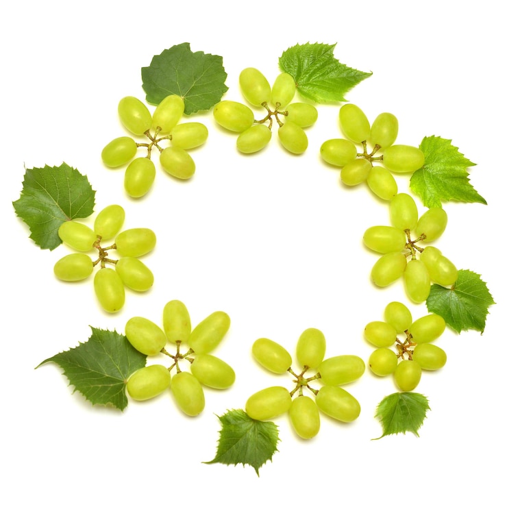 Foto rama de uvas verdes frescas aislado sobre fondo blanco. concepto creativo de fruta, forma de mariposa. endecha plana, vista superior