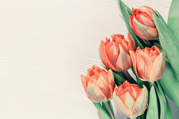Ramalhete das tulipas alaranjadas e amarelas coloridas. Fundo de férias brilhante com espaço de cópia para o seu texto ou parabéns. Cartão de felicitações para o tempo de primavera.