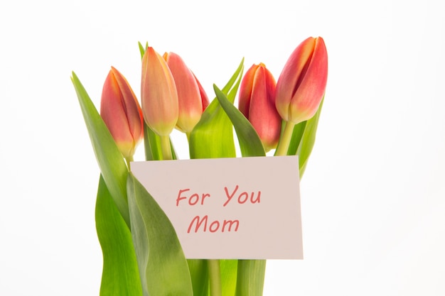 Ramalhete de tulipas rosa e amarelo com cartão de dia de mães