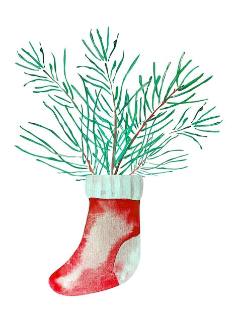 Ramas de abeto en la ilustración de acuarela de calcetín rojo