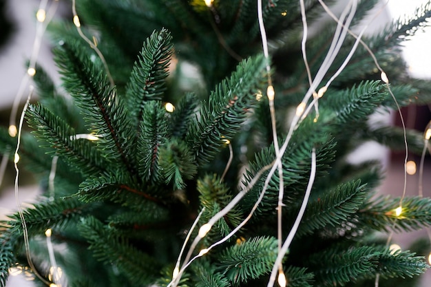 Foto ramas de abeto con luz de navidad amarilla brillante como fondo