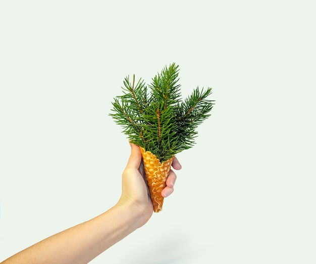 Ramas de abeto de Navidad en cono de helado