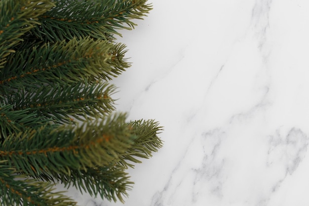 Ramas de abeto de Navidad sobre un fondo de mármol