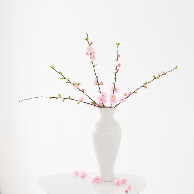 Ramas de almendras en flor en florero sobre fondo blanco.