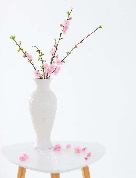 Foto ramas de almendras en flor en florero sobre fondo blanco.