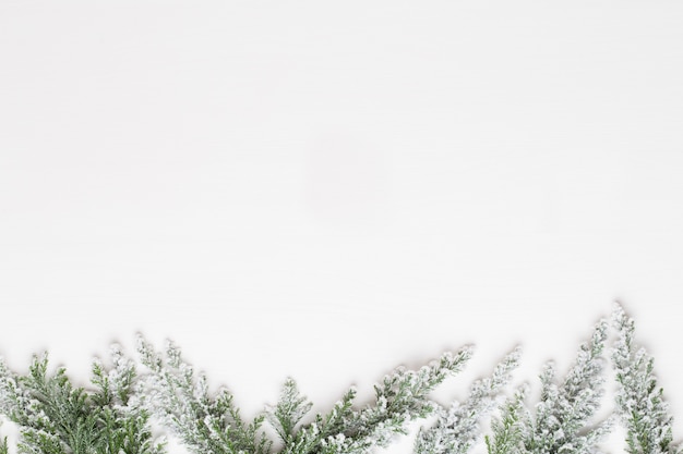 Ramas de árbol de abeto blanco de Navidad con adornos de estrellas.