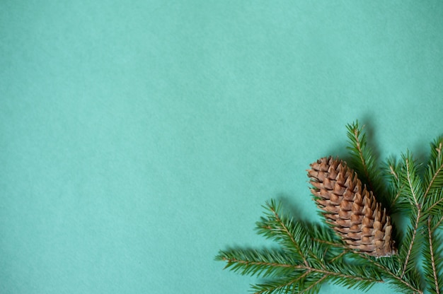 ramas de un árbol de navidad y un cono de abeto en un verde