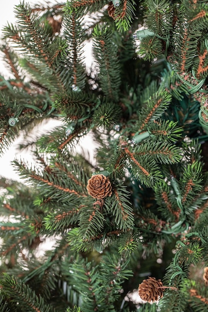 ramas de un árbol de navidad con guirnaldas