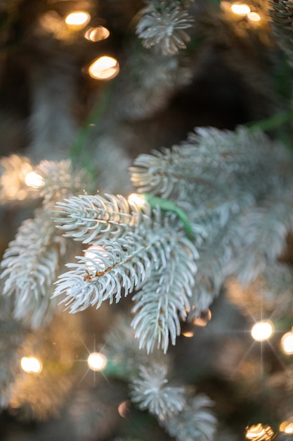 ramas de un árbol de navidad con guirnaldas