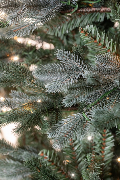 ramas de un árbol de navidad con guirnaldas