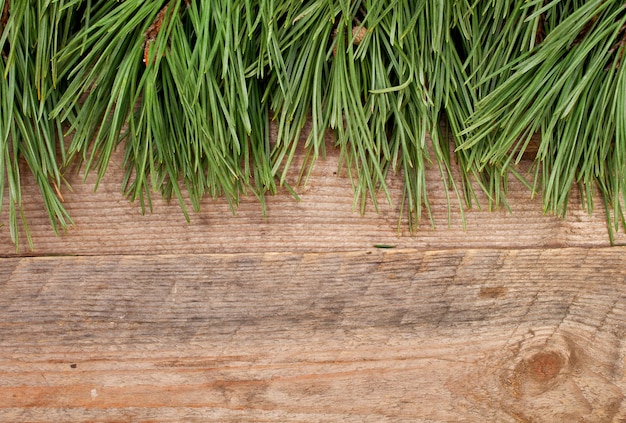 Ramas del árbol de Navidad en tablas de madera