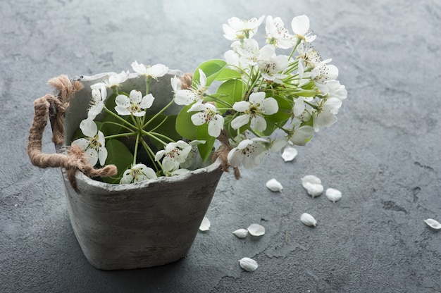 Ramas de los árboles con flores